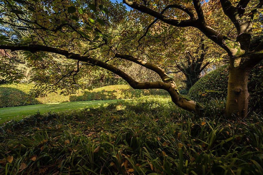 Herbosch garden lawn and borders