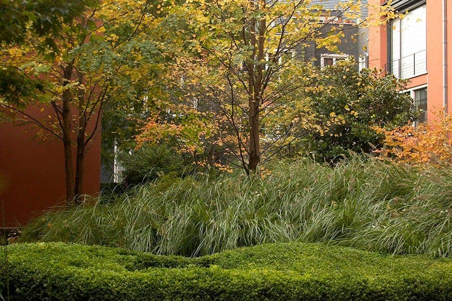 Espace Jacqmotte green courtyard view