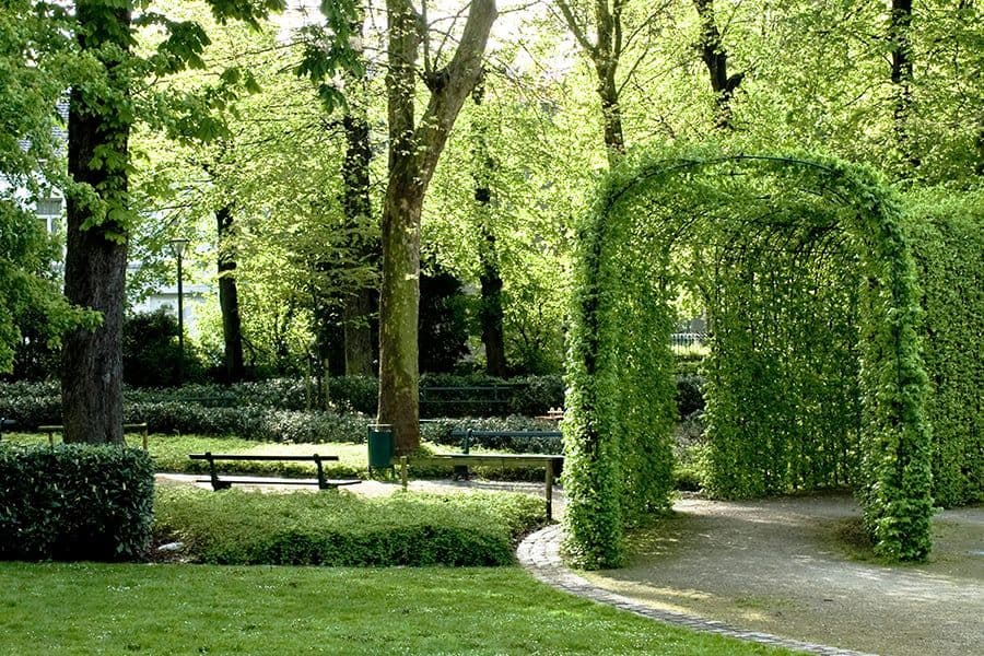 Het Plein park formal hedges