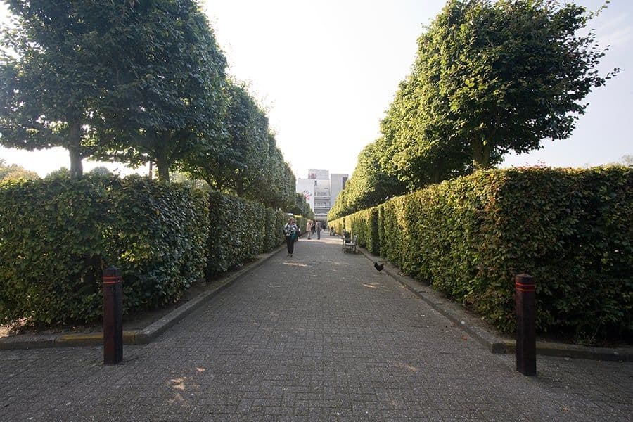 University of Antwerp Wilrijk Campus landscape