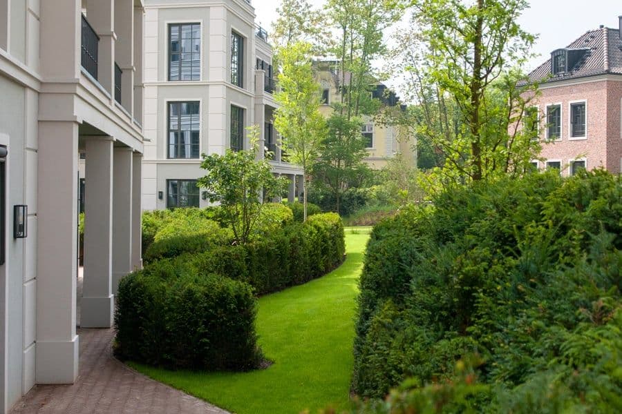 Rheinblick garden formal hedges