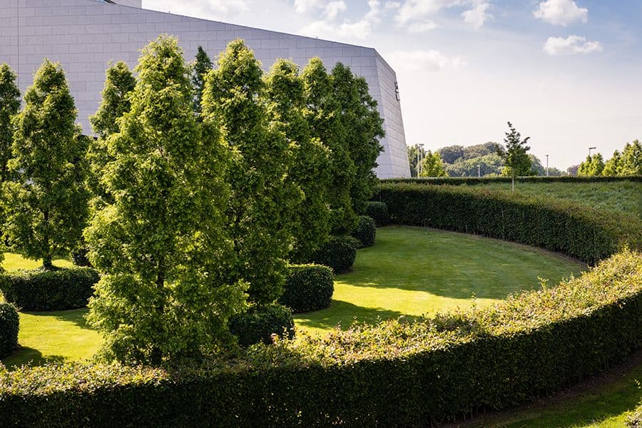MG Tower garden hedges and lawn
