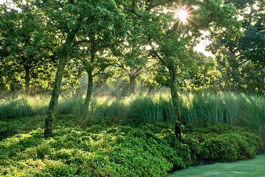 ‘t Kristallijn garden detail