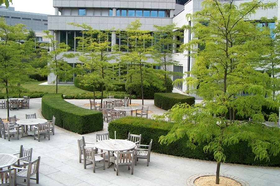 BGL BNP Paribas landscaped terrace