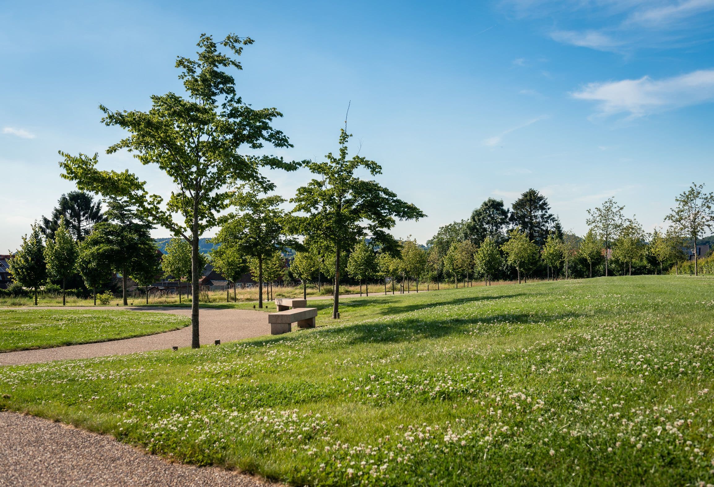 City garden Ronse view with bench