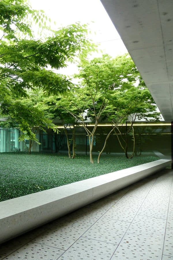 Novartis open courtyard garden Basel