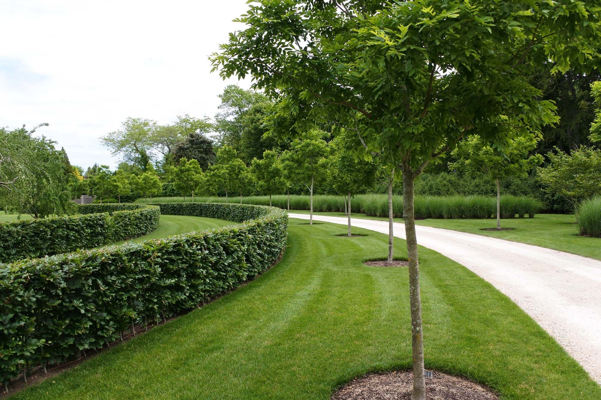 New York garden formal area