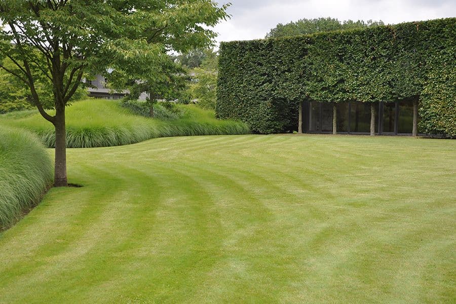 Ernsting's Family Campus tree avenue