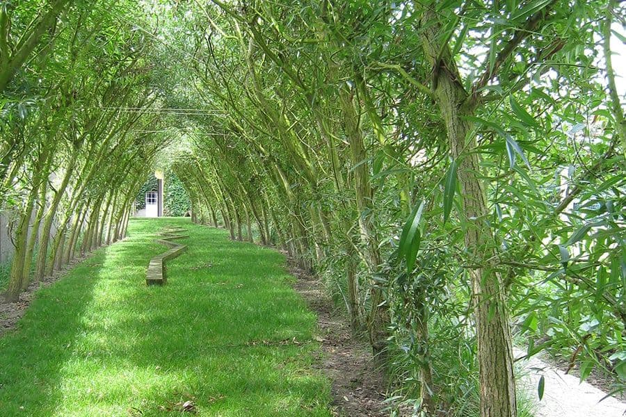 De Ziener garden clipped hedge enclosures