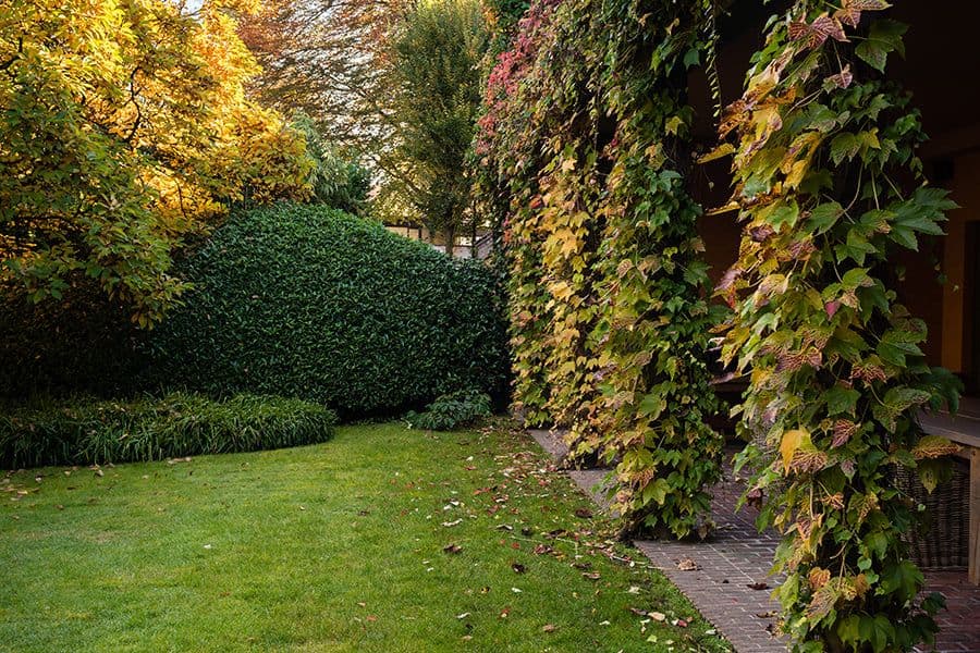 Herbosch garden pathway