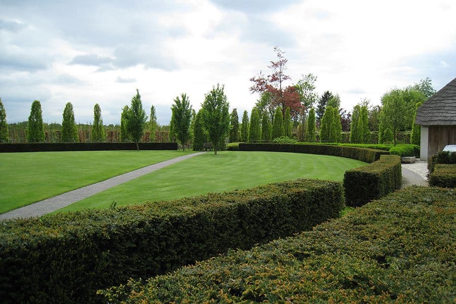 Ilegems garden tree canopy