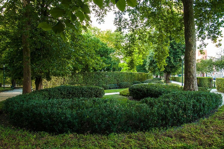 Het Plein park tree-lined avenue