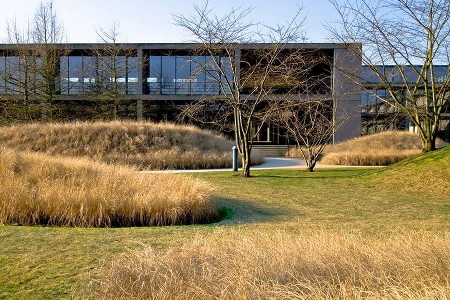 Ernsting's Family Campus garden facade