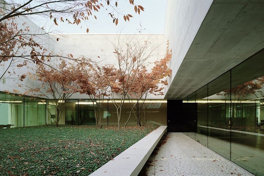 Novartis courtyard garden detail