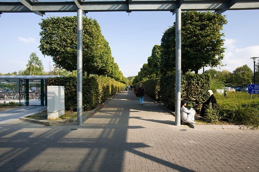UA Wilrijk Campus lawn