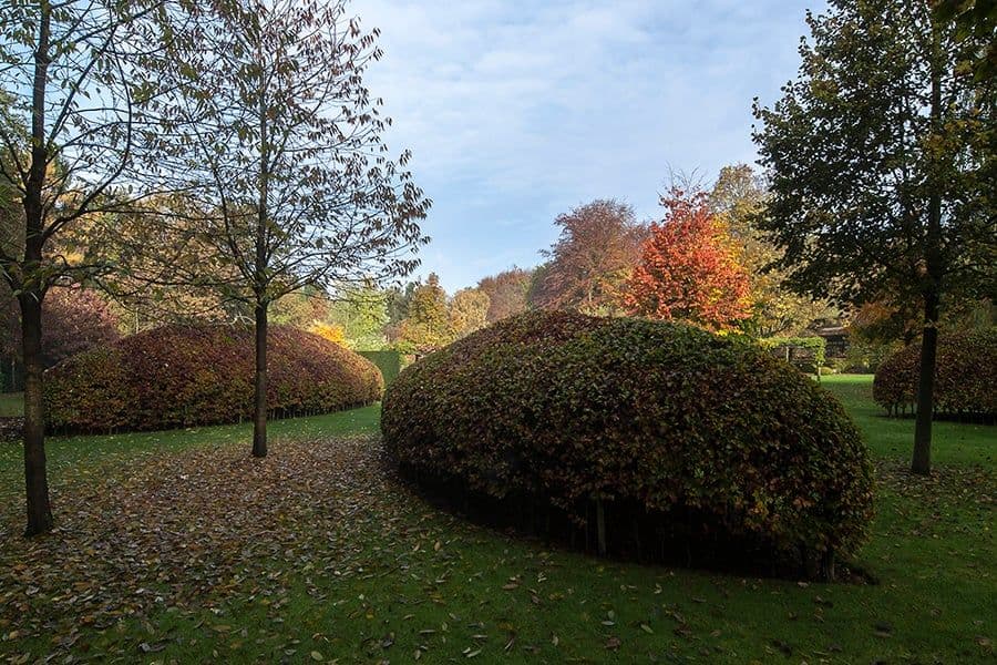 Van den Bergh garden lawn and trees