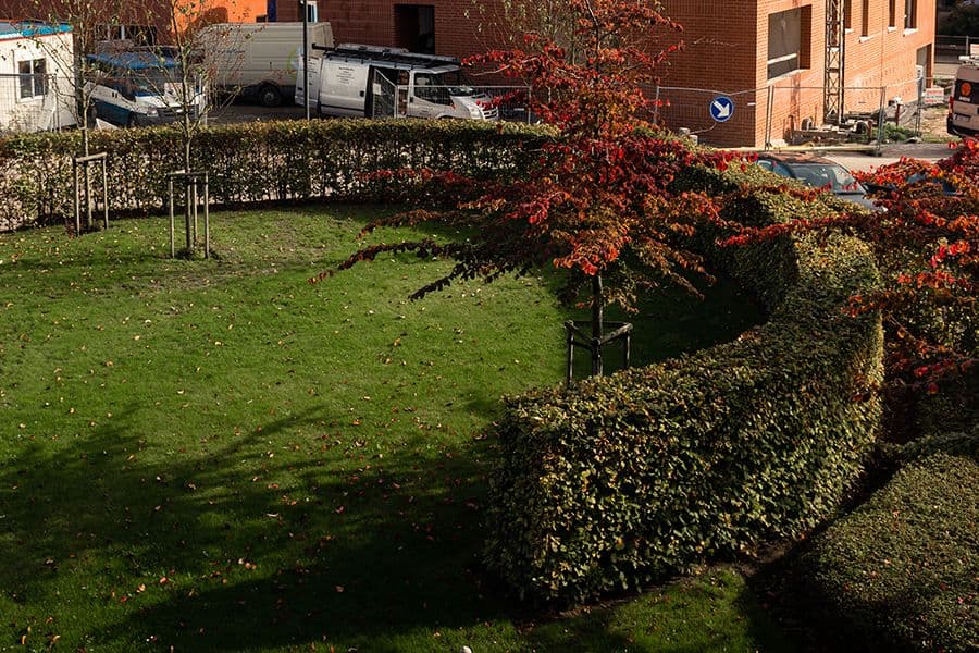Anco garden seating area with planting