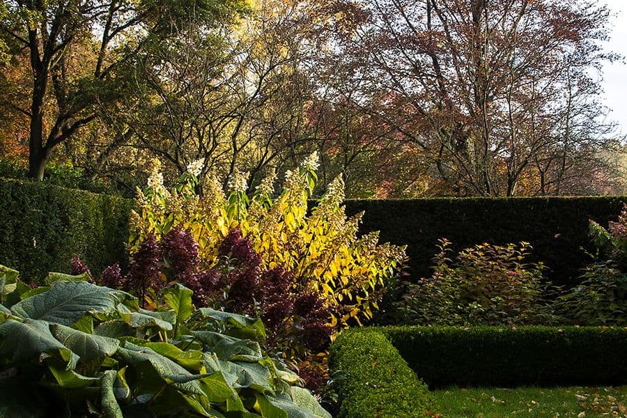 Van den Bergh garden woodland
