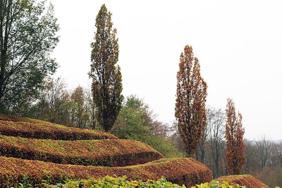 L’Hoist lawn and borders