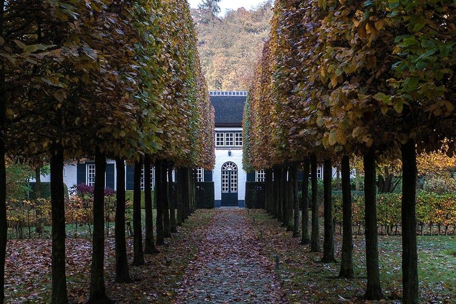 Van den Bergh garden overview