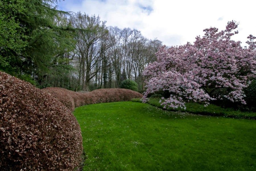 Herbosch garden planting detail