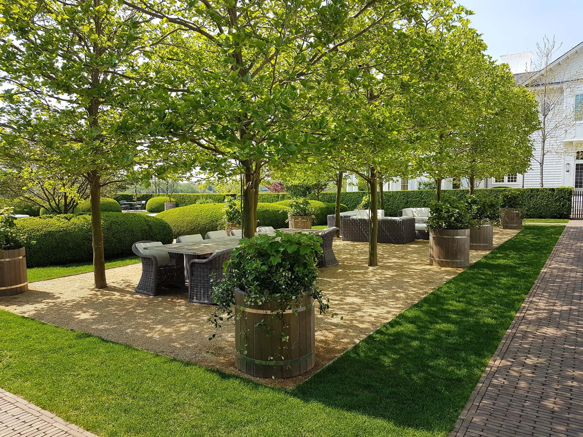 New York garden tree avenue
