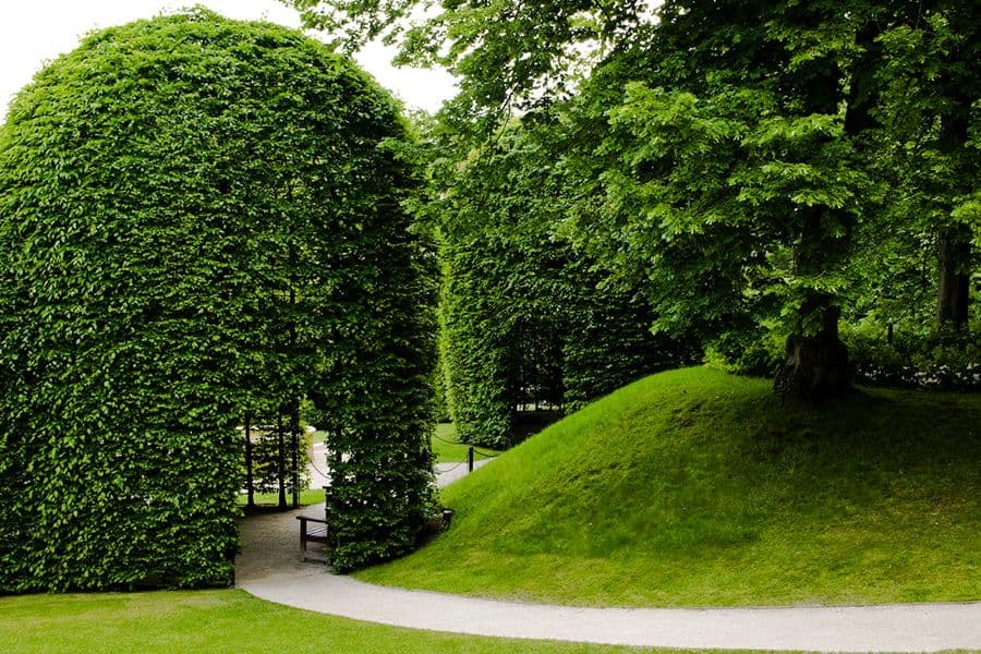 Alnwick Garden formal parterre