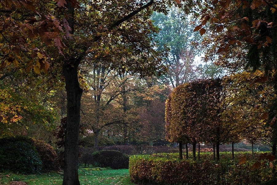 Van den Bergh garden aerial view