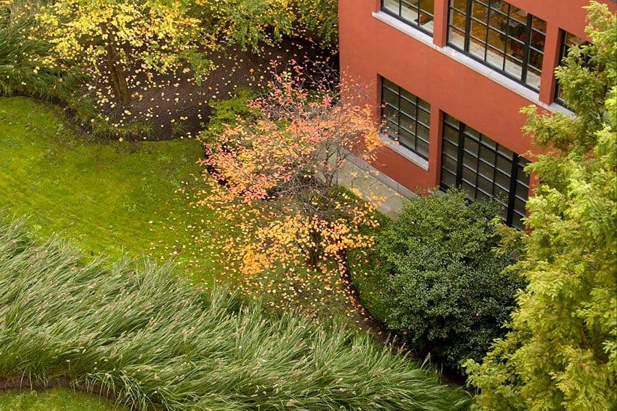 Espace Jacqmotte garden and building facade