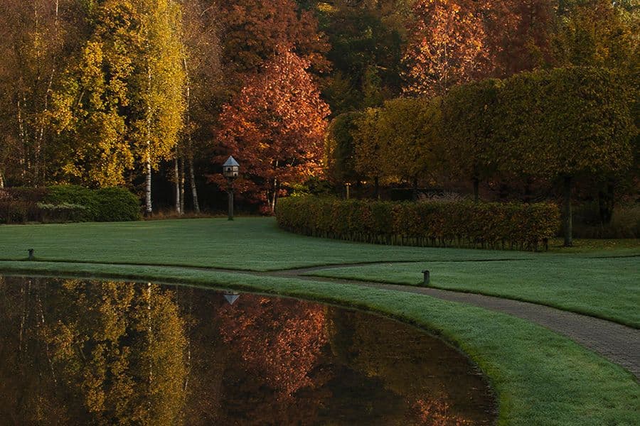 Van den Bergh garden topiary