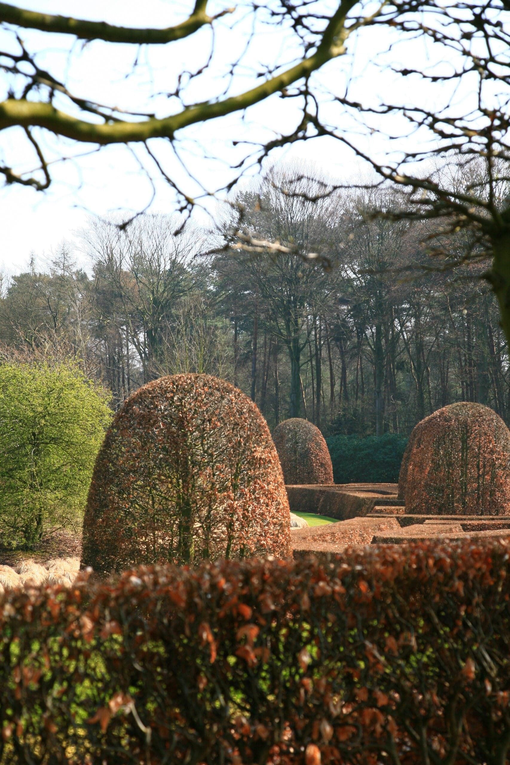 Private garden Schoten with water feature