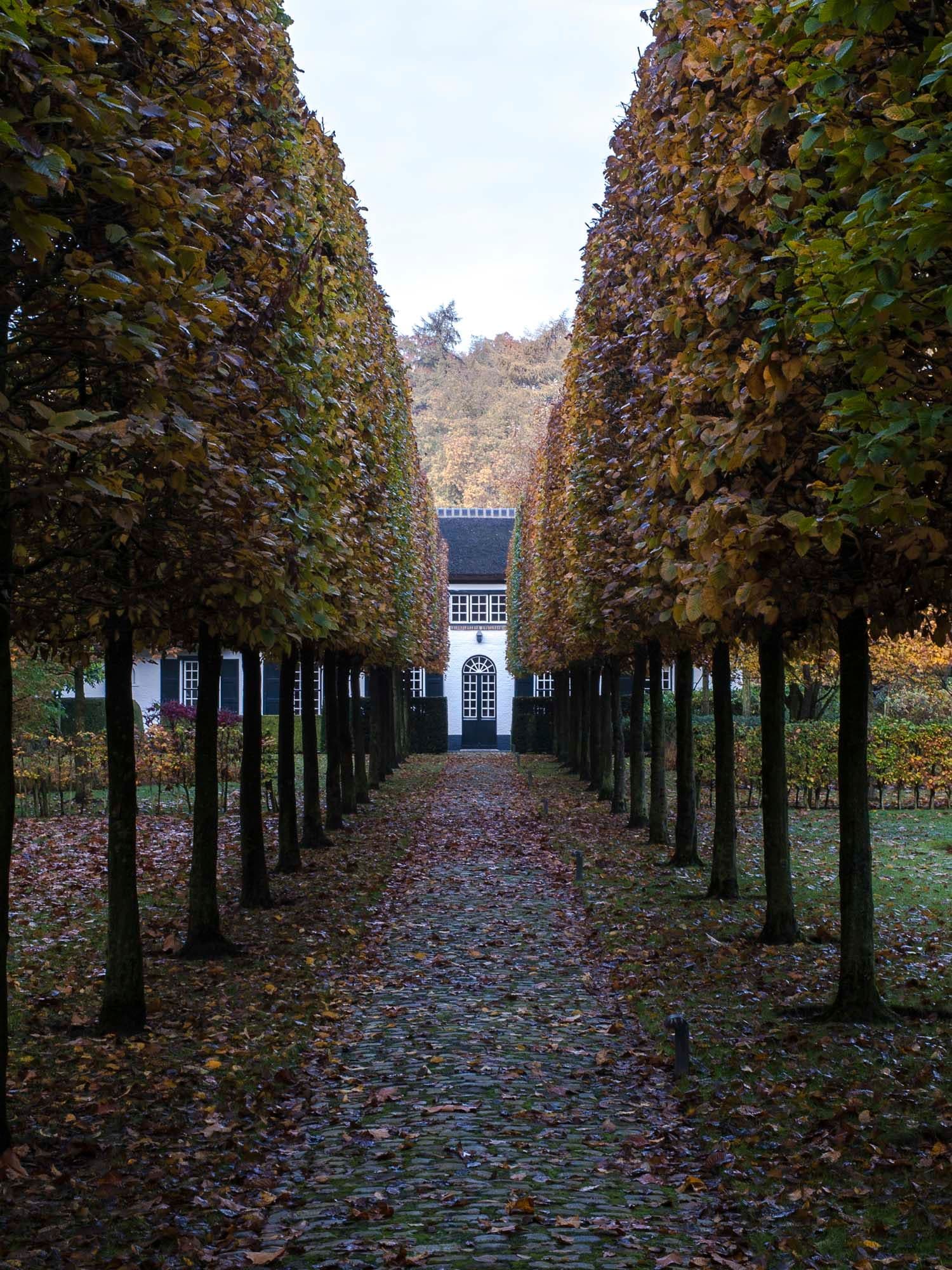 Private garden Kapellen with pond