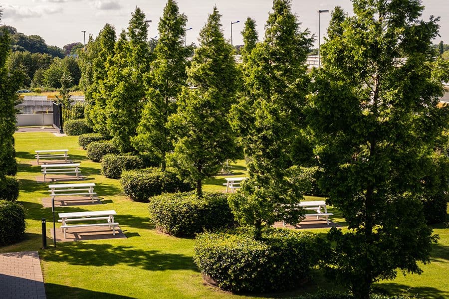 MG Tower garden pathway
