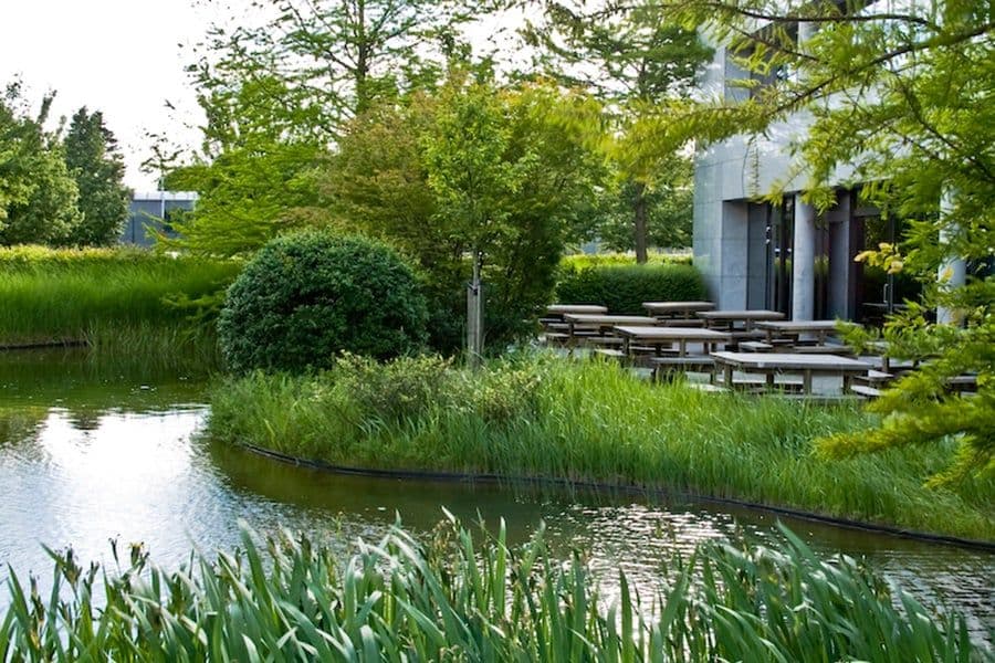 Léopold Square Office Park garden detail