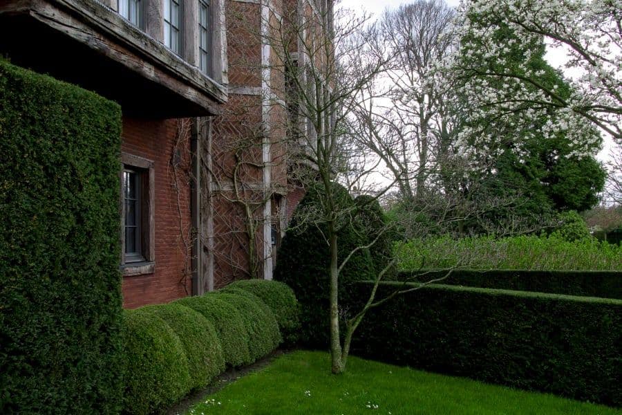 Herbosch garden hedges