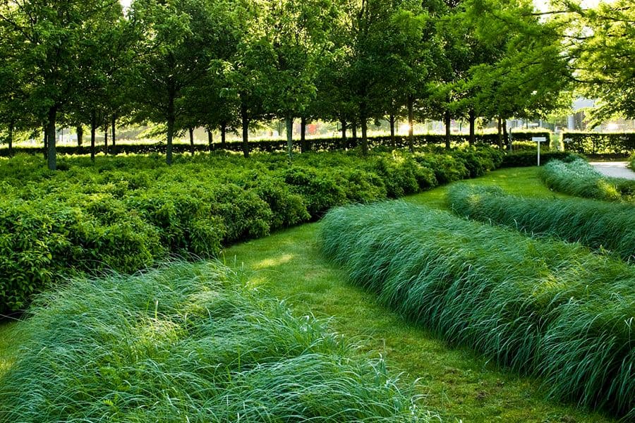 Léopold Square Office Park formal hedges
