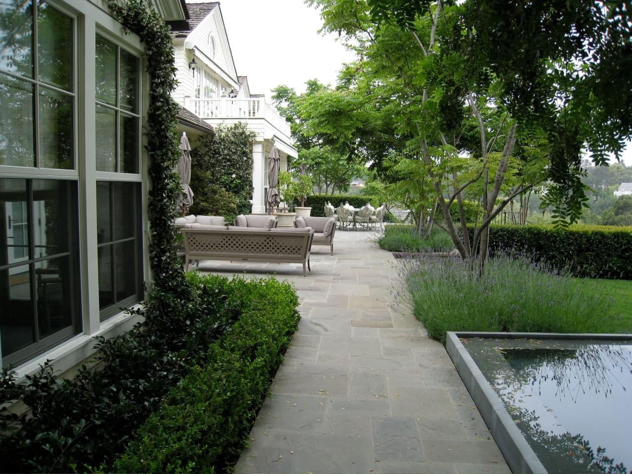 California garden planting