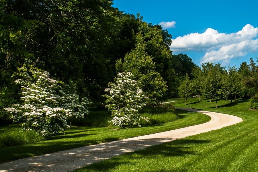 New Jersey garden woodland path