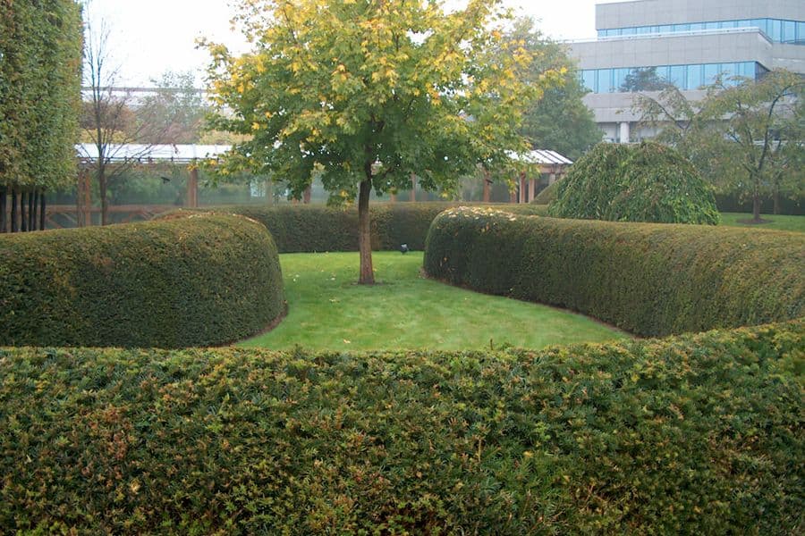 BGL BNP Paribas garden overview