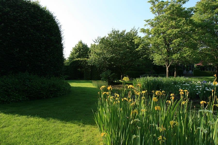 Costermans garden topiary