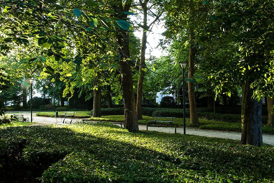 Het Plein park overview