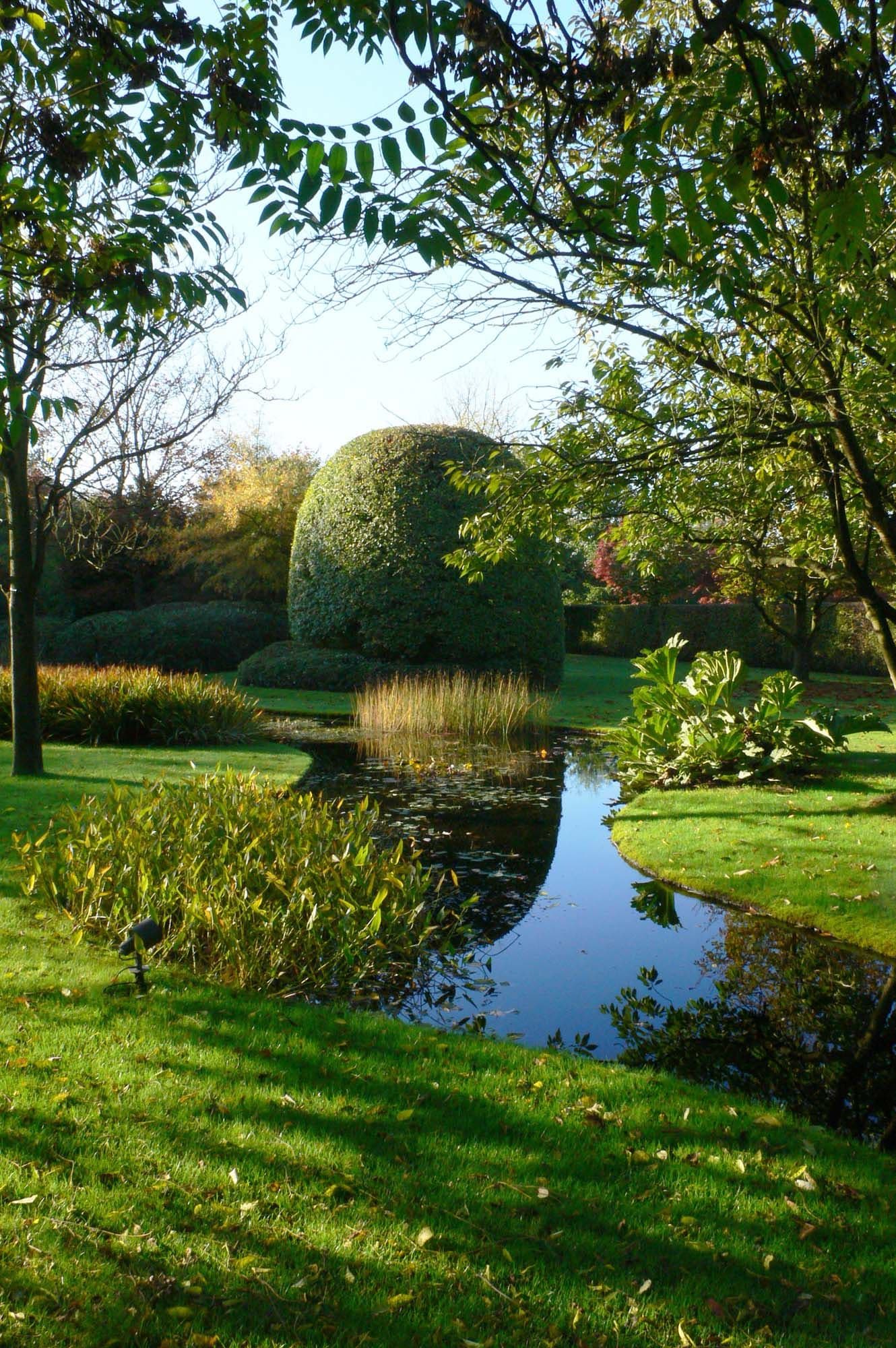 Private garden Schilde outward-looking garden