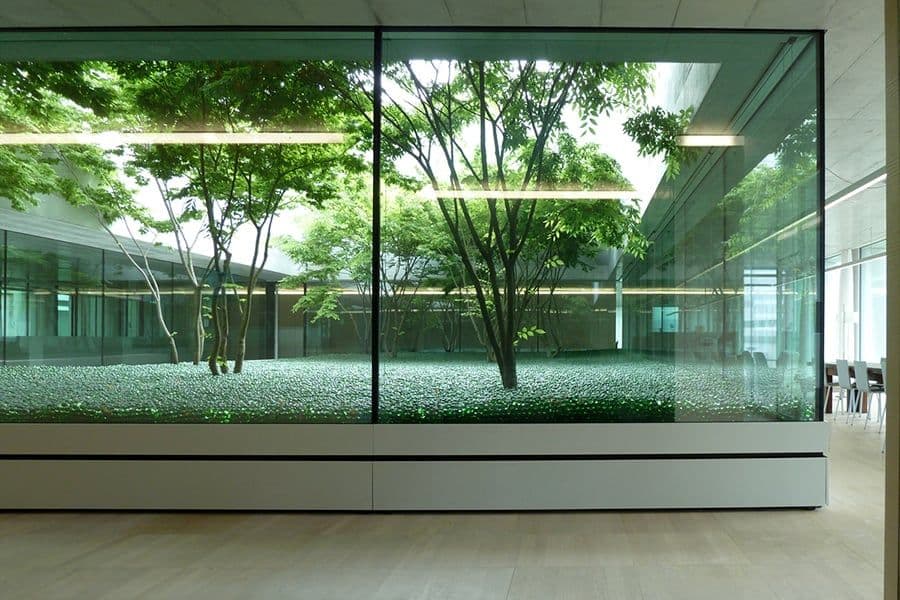 Novartis courtyard topiary