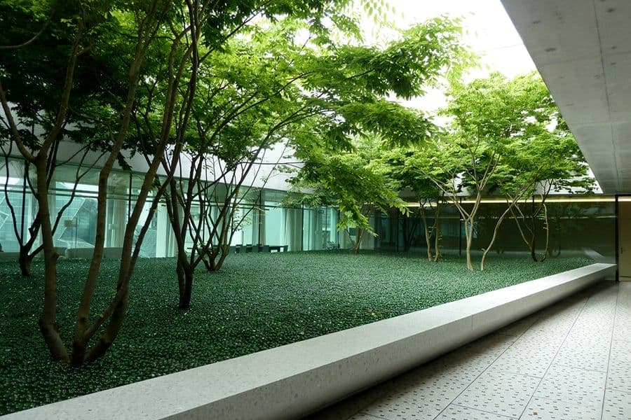 Novartis courtyard green planting