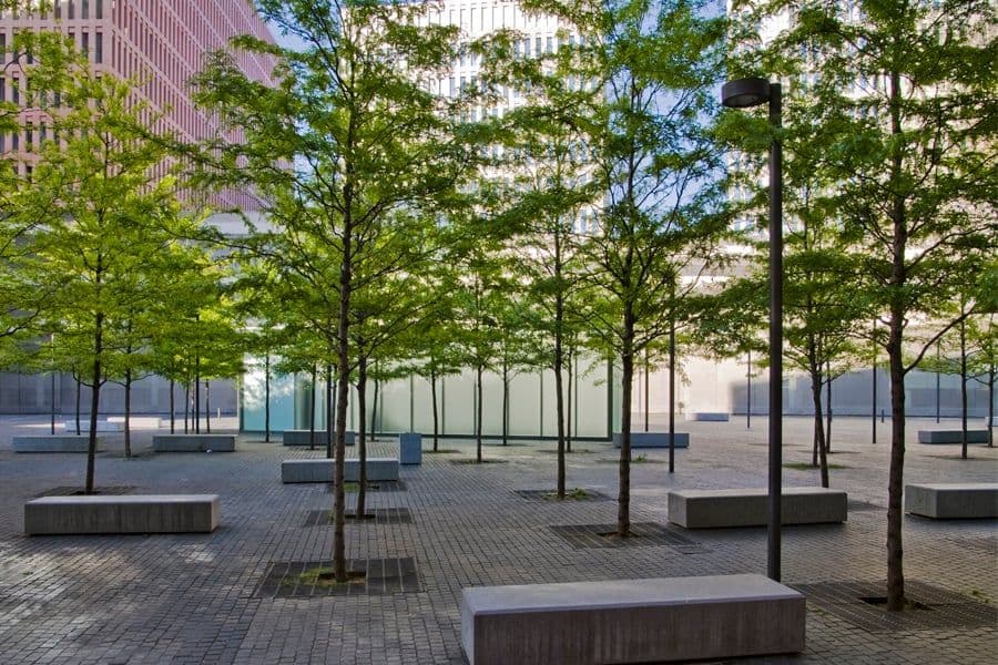 City of Justice Barcelona formal hedges