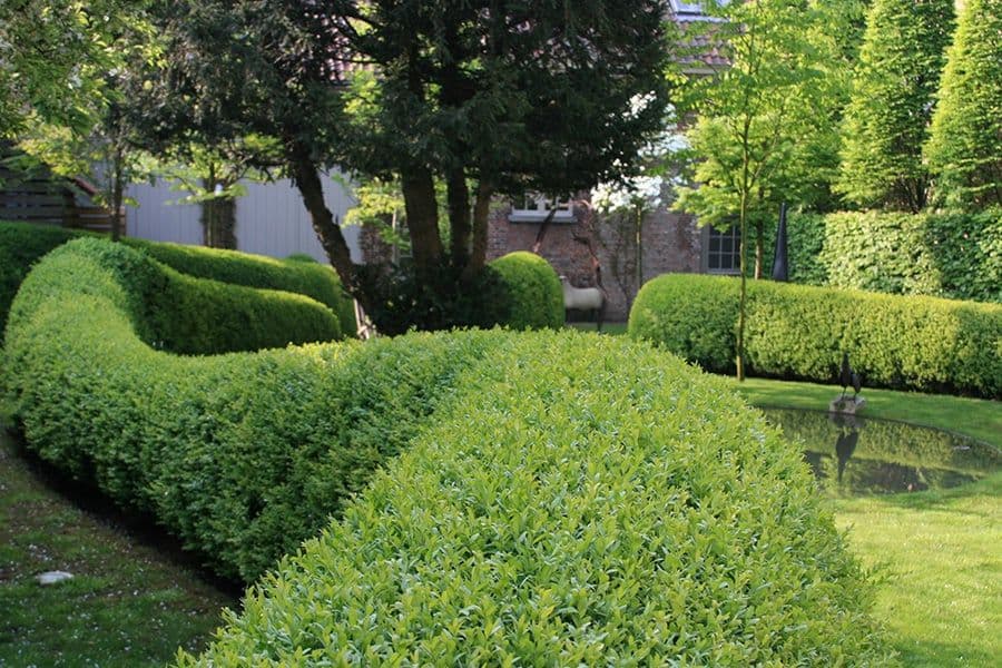 Van Damme garden path