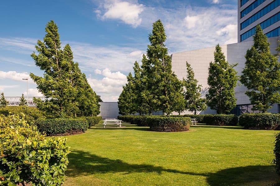 MG Tower formal planting