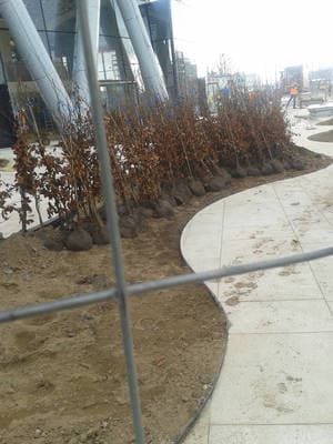 Warsaw Spire: making of … the "Plac Europejski" or European Square