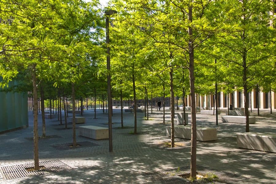 City of Justice Barcelona tree-lined walkway