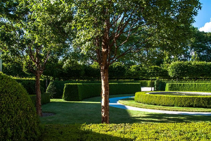 New Jersey garden hedges